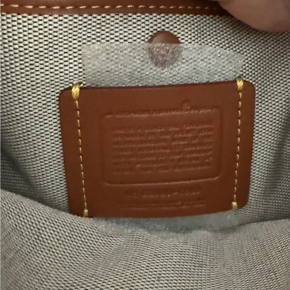 Coach X Jean-Michel Basquiat Pez Rexy Rogue 25